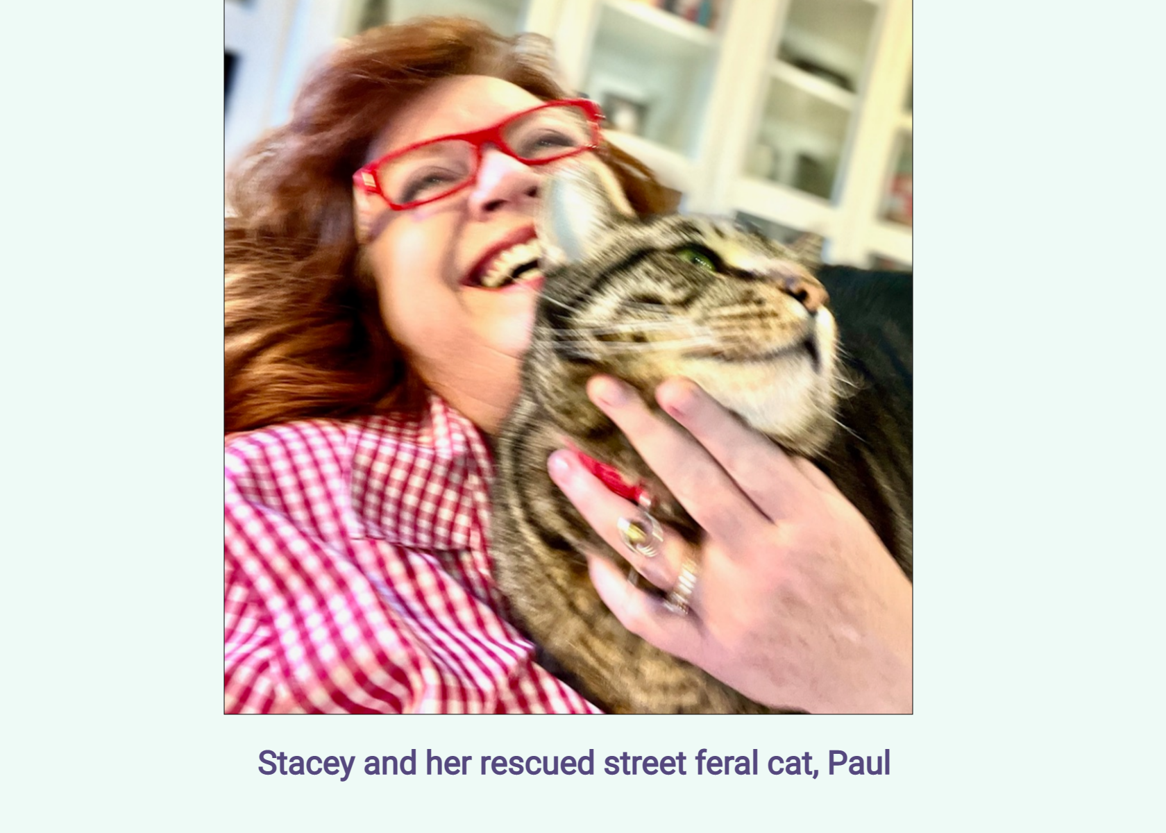 Stacey and her rescued street feral cat, Paul.